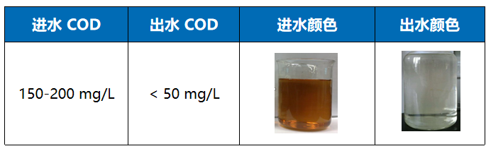 某焦化厂废水案例