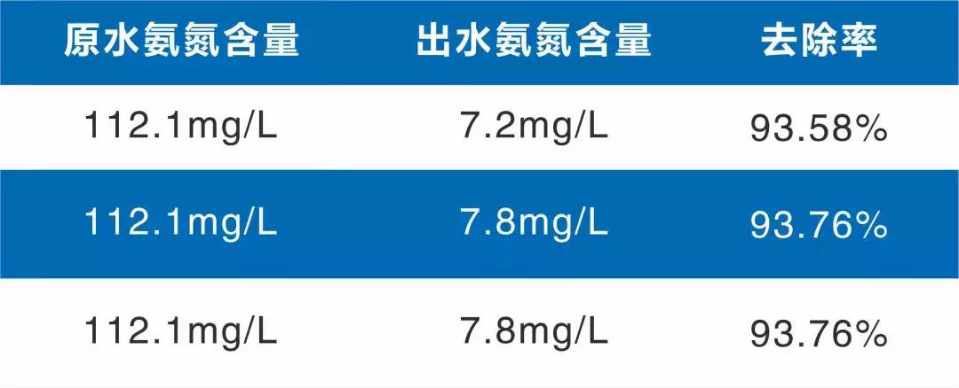 十三码必中一码