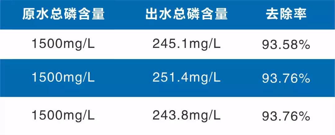 十三码必中一码