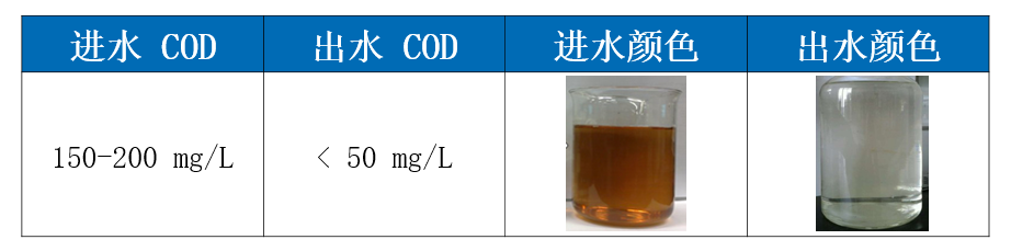 焦化废水的无害化处理