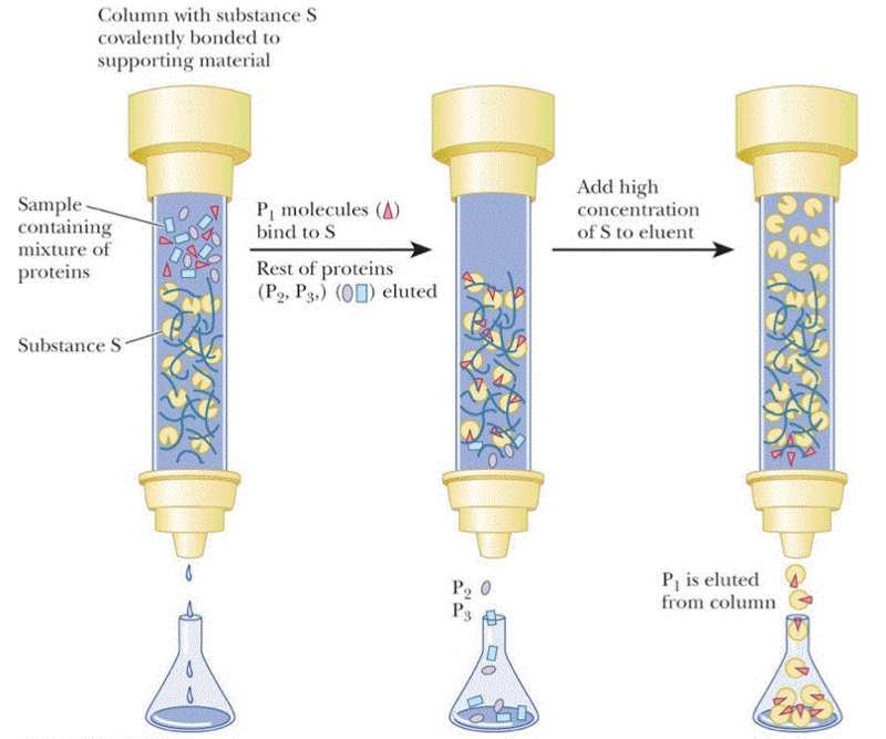 HPC117